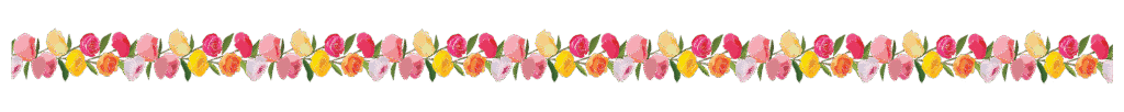 Rosas coloridas dispostas em linha horizontal